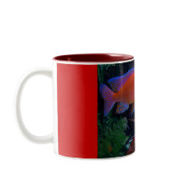 firefish mugs