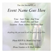 Firefly - Photuris Pyralis Personalised Announcement