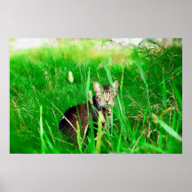 Firefox Feral Cat Oil Painting Posters