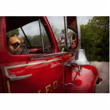 Fireman - Mack Cut Outs