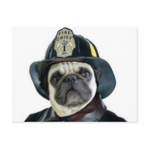 Fireman Pug postcard