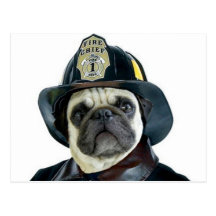 Fireman Pug postcard