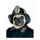 Fireman Pug postcard
