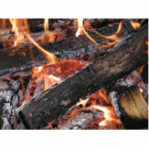 Fires Wood Flames Burning Cut Outs