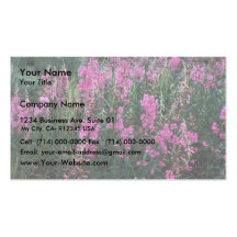 Fireweed Business Cards