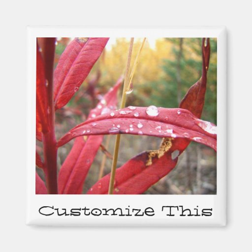 Fireweed in the Fall; Customisable Fridge Magnets