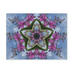 Fireweed K'leidoscope Collection Post Cards