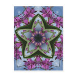 Fireweed K'leidoscope Collection Post Card