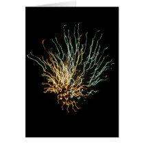 Fireworks Greeting Card