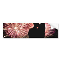 Fireworks Couple Kissing Silhouette