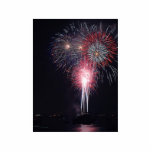 Fireworks Diego Bay On The Fourth Of July photo sculptures
