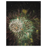 Fireworks Display flyers