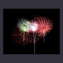 Fireworks Display Photo Poster posters