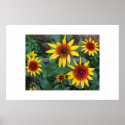 Fireworks Flowers posters