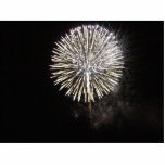 Fireworks For The Fourth In Mira Mesa Were Pretty photo sculptures