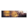 Fireworks on the Fourth Bumper Stickers