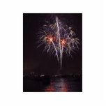 Fireworks Over San Diego Bay On The Fourth Of July photo sculptures