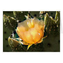 First Bloom Cards