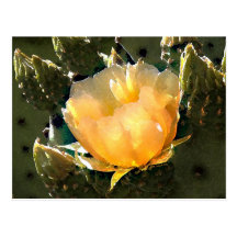 First Bloom Postcard