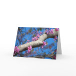 First Day of Spring Greeting Card