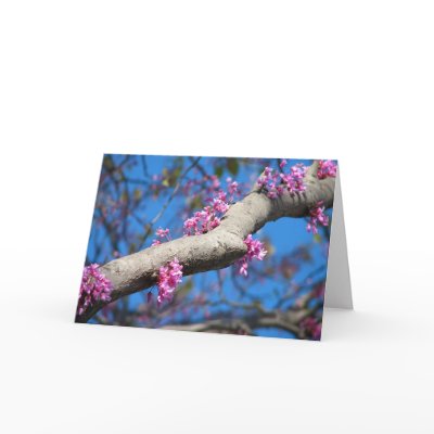 First Day of Spring Greeting Card by skeri83