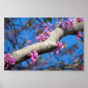 First Day of Spring posters