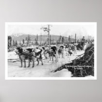 First Dog Team Alaska 1910 Print