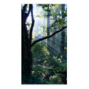 First Light Bookmarks business cards