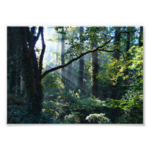 First Light Photo Print
