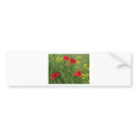 First Poppies bumper stickers