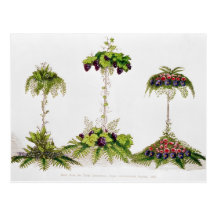 First Prize for Table Decoration Postcards