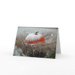First Snow cards