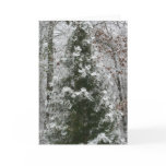 First Snow Cards
