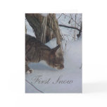 First Snow Cards