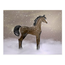 "First Snow" ~ Postcard