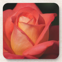 Firy Colour Rose Coaster