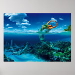 Fische - Poster posters