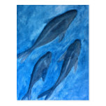 Fische Postkarte