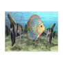 fish6 post cards