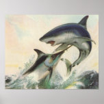 Fish - Black Marlin & Mako Shark posters