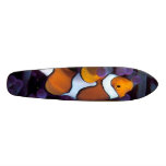 fish board skateboards