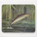 Fish - Brown Trout - Salmo trutta mousepads