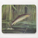 Fish - Brown Trout - Salmo trutta mousepads