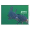 Fish comedian cards