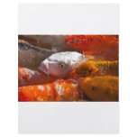 fish flyer