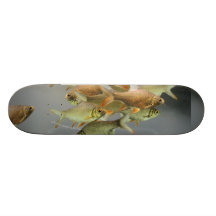 Fish & Fog Skate Deck