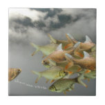 Fish & Fog Tile