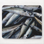 Fish for lobster bait, Prince Edward Island, Canad mousepads
