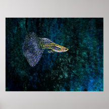 Fish in Blue pointillism Posters