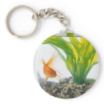 FISH IN MY POCKET keychains